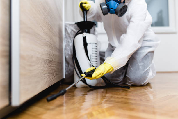 Best Affordable Pest Control Services  in Kentwood, LA