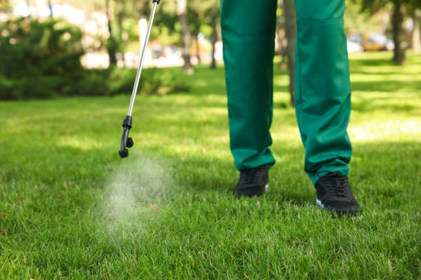 Best Emergency Pest Control  in Kentwood, LA