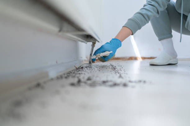 Best Cockroach Control Services  in Kentwood, LA