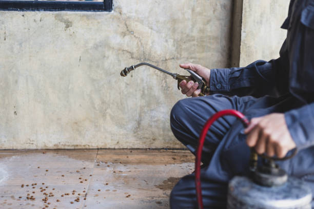 Best Rat Extermination Near Me  in Kentwood, LA