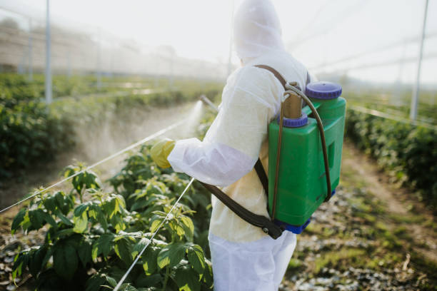 Best Bed Bug Extermination  in Kentwood, LA